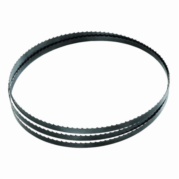 Banda-Dentada-Sin-fin-1.jpg