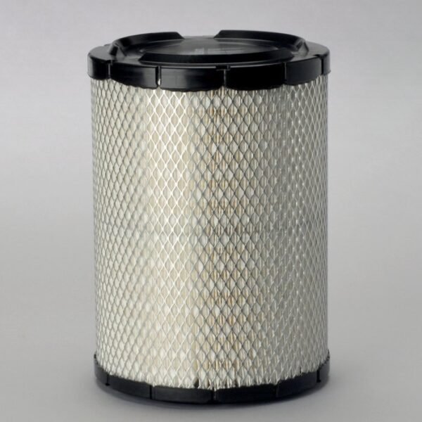 Filtro de Aire Donaldson P537405 = AF25886 para Motor 1° [P537405]