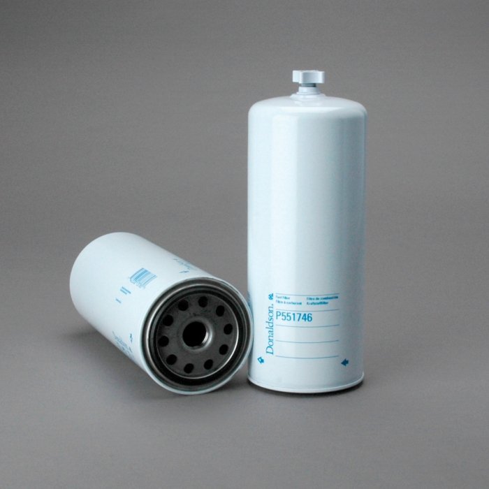 Filtro de Combustible Donaldson P551746 FS20162 [P551746]