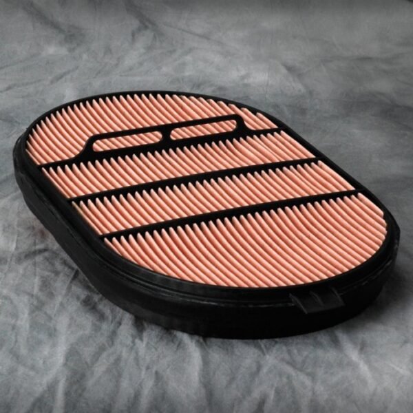 Donaldson Filtro de Aire Secundario P607557 AF4201 para Equipos Industriales [P607557]